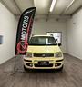 fiat-panda-1-2-emotion-automatica-neopatentati