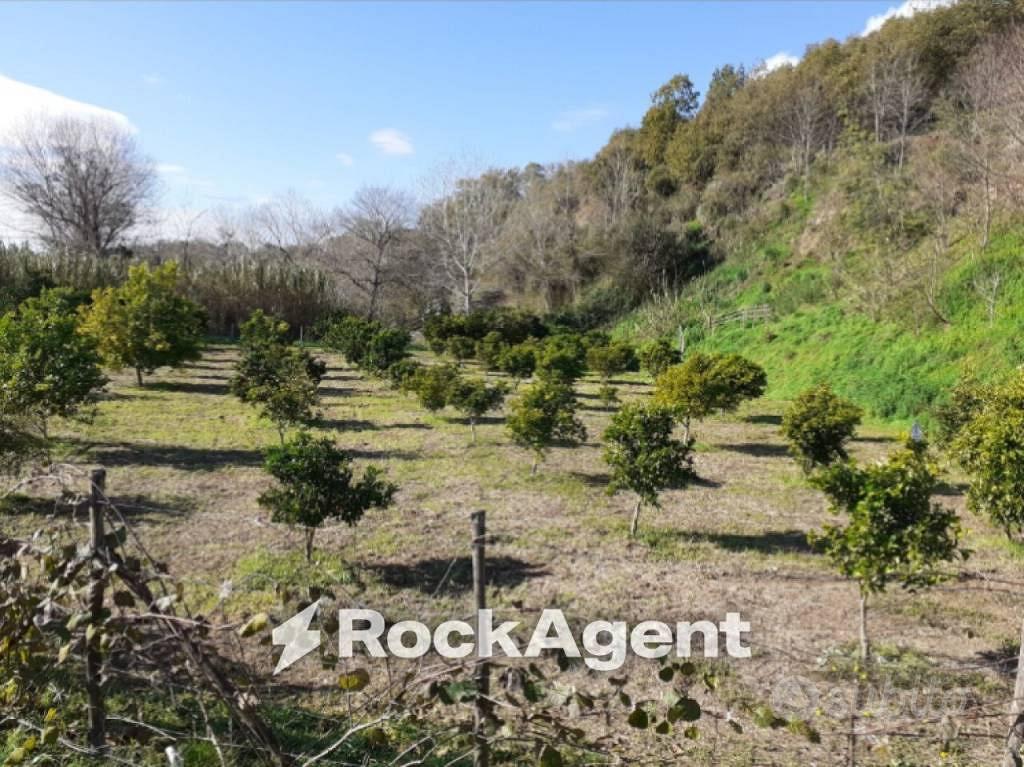 Terreno di 23500 m² a Marcellinara - Vista 2