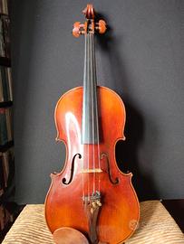 violino