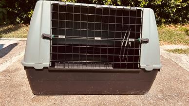 Kennel  per cani taglia media