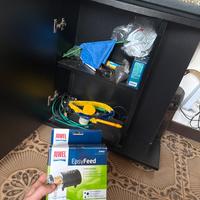 Acquario pesci rossi