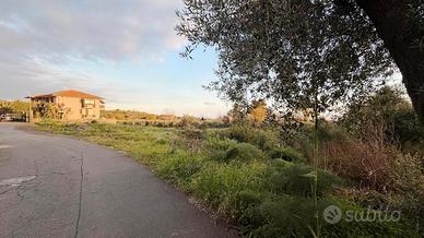 Terreno agricolo 1950mq nel cuore di Mascalucia