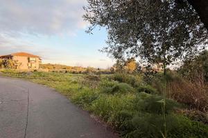 Terreno agricolo 1950mq nel cuore di Mascalucia