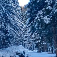 LAST-MINUTEbilocale sulle piste da sciDOLOMITI