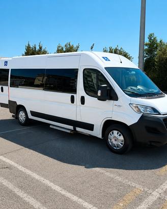 Fiat Ducato Maxi - 9 Posti Trasporto Disabili