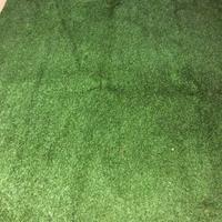 Erba sintetica tappeto 5X2 Mt