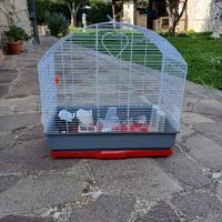 Gabbie per uccellini