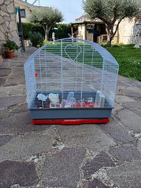 Gabbie per uccellini