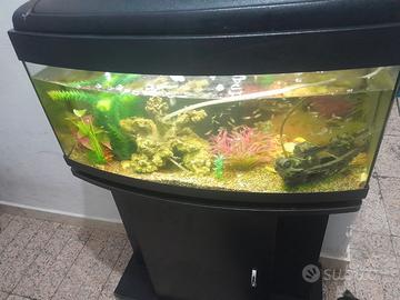 Acquario completo di tutto leggi