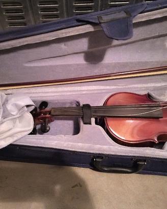violino