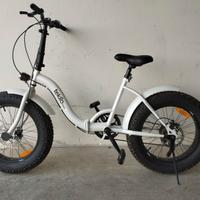 bicicletta pieghevole 