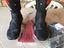 Immagine 1