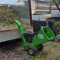 Cippatore Peruzzo tb100