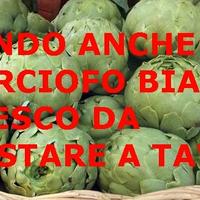Piante grosse del Carciofo Bianco di Pertosa