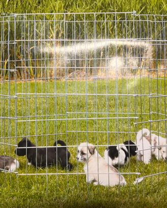 Recinto per cani in acciaio uso interno ed esterno