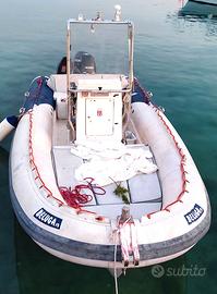 Beluga 19 con Suzuky DF140