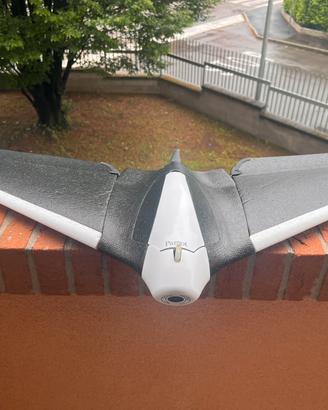 Parrot disco