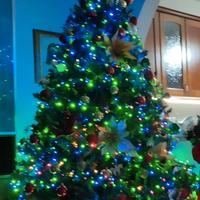 Albero di Natale addobbato 240 m