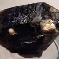 Cristallo biterminato di quarzo morione - Brasile