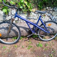 Bici mtb