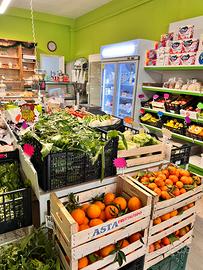 Attività commerciale a Vasto (ch)