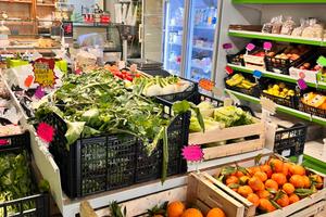 Attività commerciale a Vasto (ch)