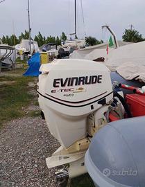 Evinrude 115