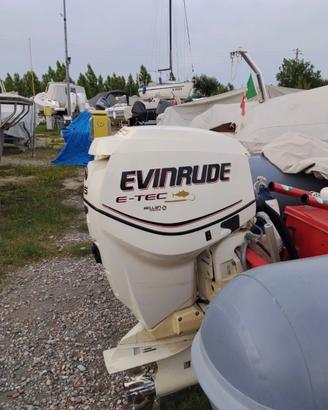 Evinrude 115