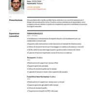 Va bene tutto eccetto call center o venditore