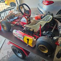 go kart birel 60