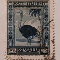 Somalia italiana 1935- 2,55 L- denti 14