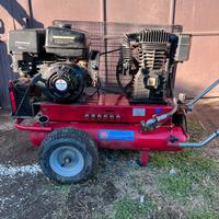 Conpressore per raccolta olive