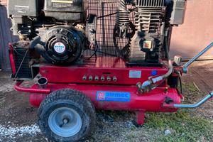 Conpressore per raccolta olive