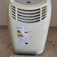 climatizzatore pinguino 