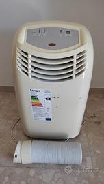 climatizzatore pinguino 