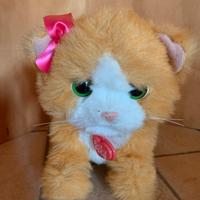 FurReal friends gattino