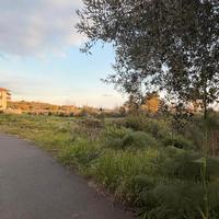 Terreno agricolo 1950 mq mascalucia centro