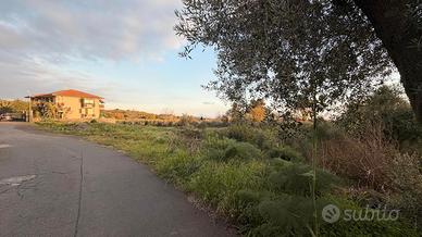 Terreno agricolo 1950 mq mascalucia centro