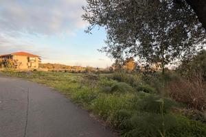 Terreno agricolo 1950 mq mascalucia centro