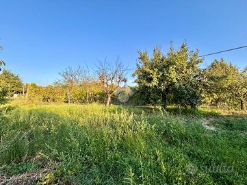 TER. AGRICOLO A EMPOLI