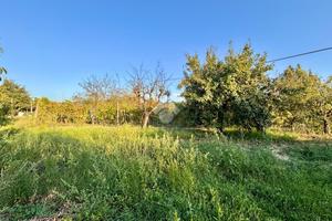 TER. AGRICOLO A EMPOLI