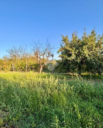 TER. AGRICOLO A EMPOLI