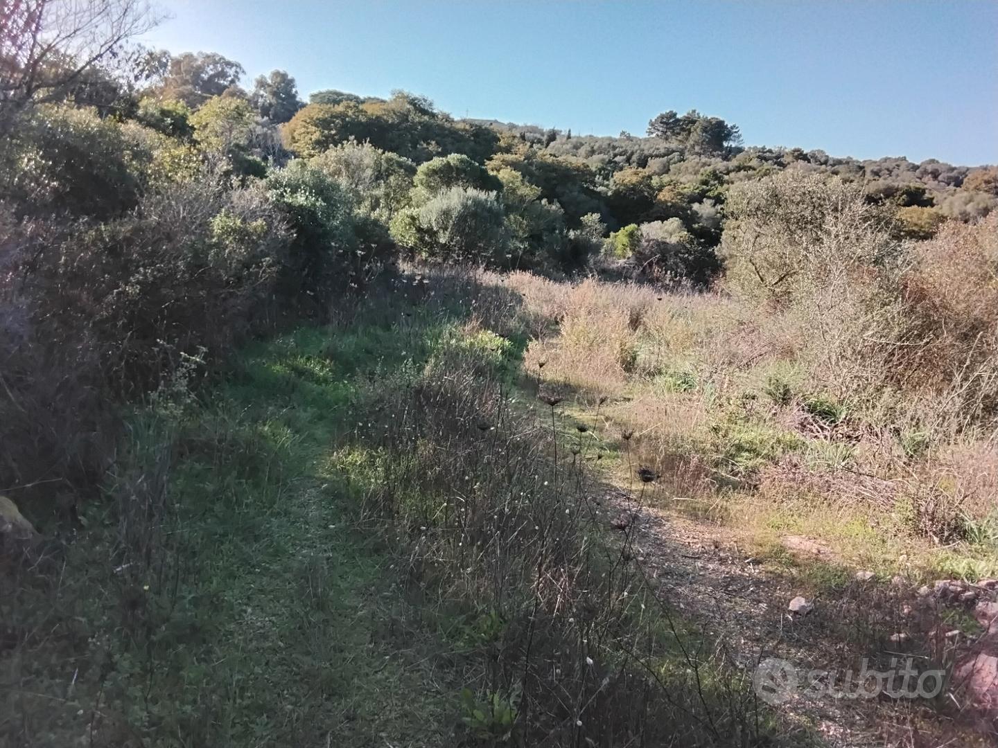 Terreno in Arzachena ( Olbia tempio) - Vista 5