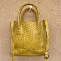 Borsa di lusso in pitone.