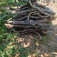 Legna d'agrume per camini,forni,barbecue