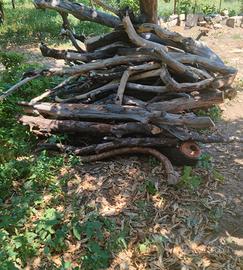 Legna d'agrume per camini,forni,barbecue