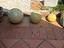 Immagine 3