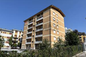 Appartamento - Belluno