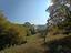 Immagine 12
