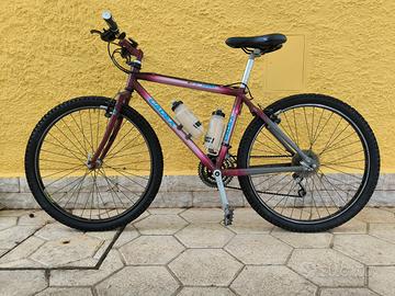 mountain bike GIANT non ammortizzata